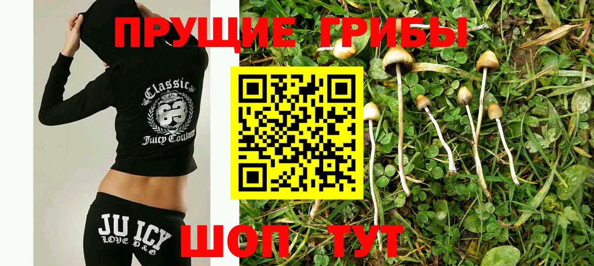 Качканар  Галлюциногенные грибы мухоморы  что такое наркотик  Вход с VPN 